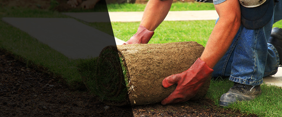 Mohrsville Landscapers